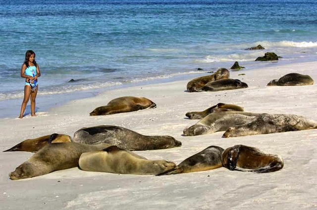 Viaggio alle Galapagos