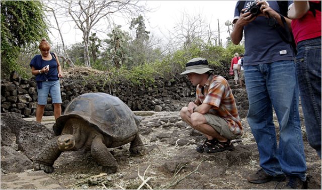 Viaggio alle Galapagos