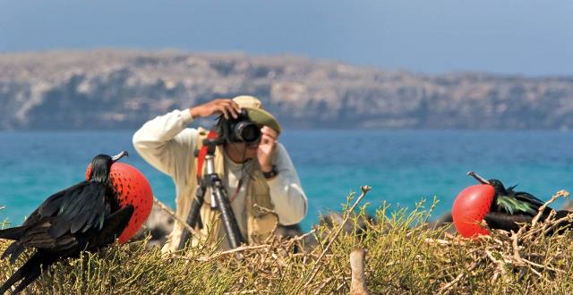 Viaggio alle Galapagos