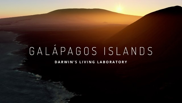 Viaggio alle Galapagos