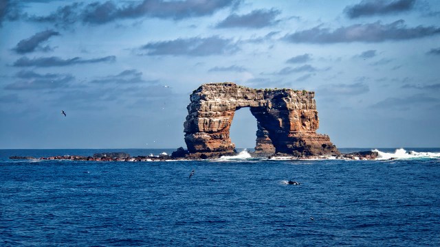 Viaggio alle Galapagos