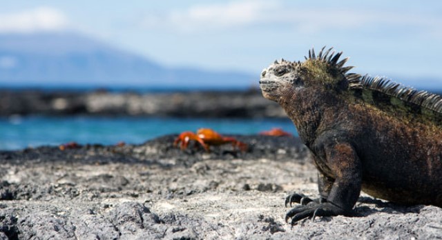 regole del galapagos national park (1)