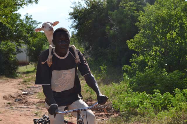 foto di sabrina ferrario in africa aprile 2015 (6)