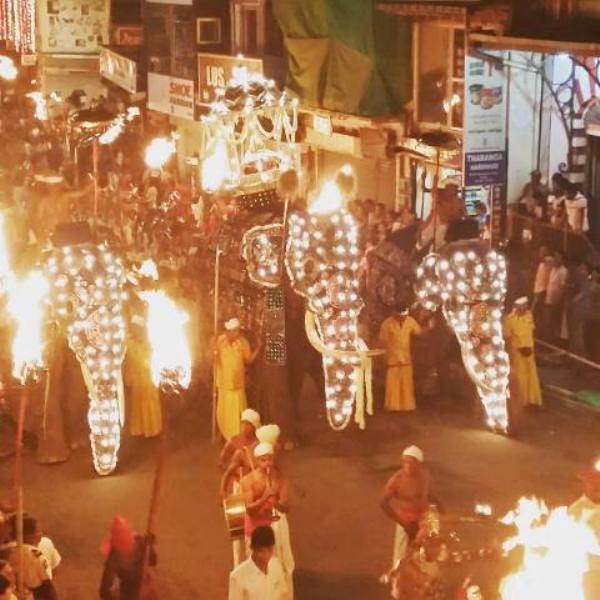 @ Esala Perahera Festival, Dambulla