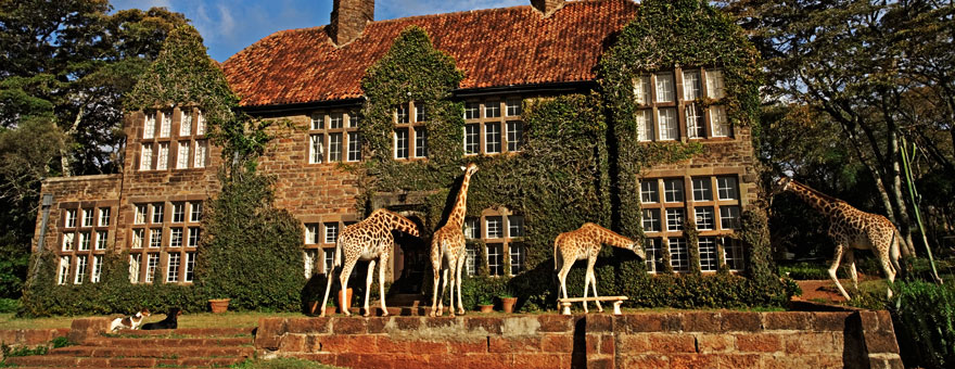 Giraffe-Manor-in-Nairobi-Kenya-4